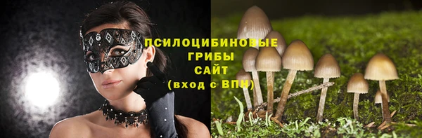 меф Горняк