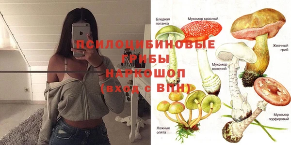 ешки Горно-Алтайск