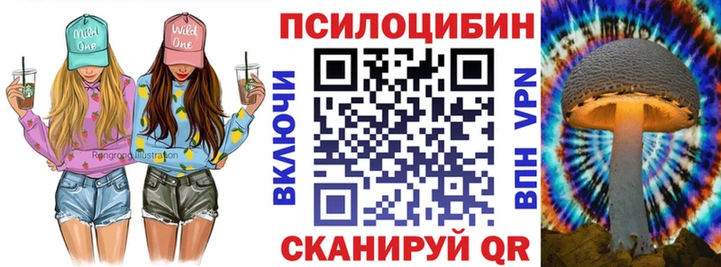 Псилоцибиновые грибы Magic Shrooms Купить где Грязи