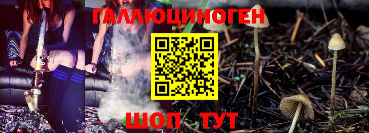 Грязи  Псилоцибиновые грибы GOLDEN TEACHER  Псилоцибиновые грибы ЛСД  сколько стоит  Вход с VPN 