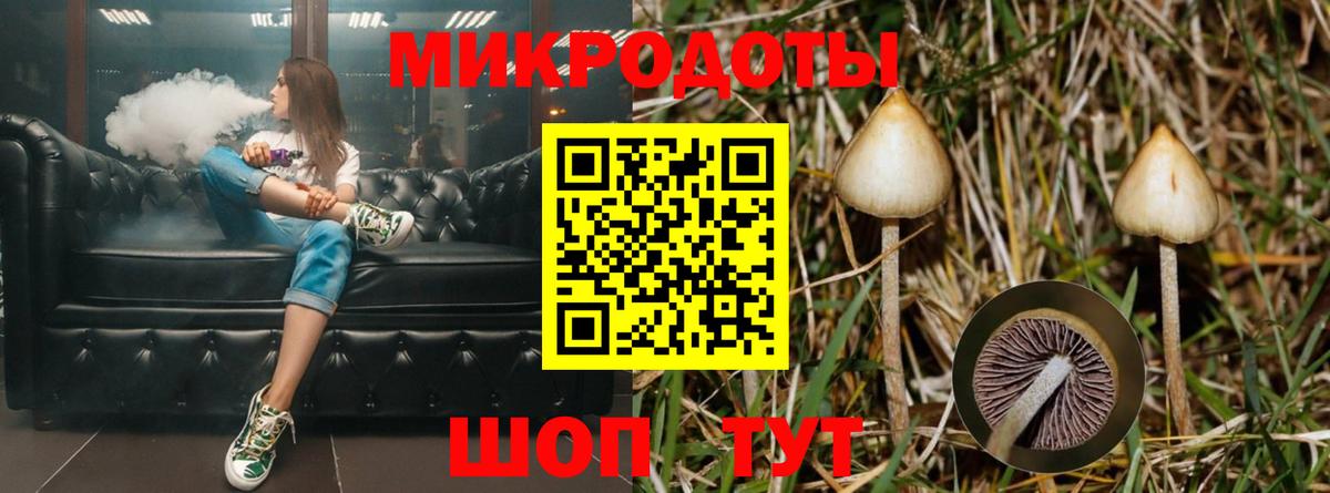 Галлюциногенные грибы мицелий Грязи